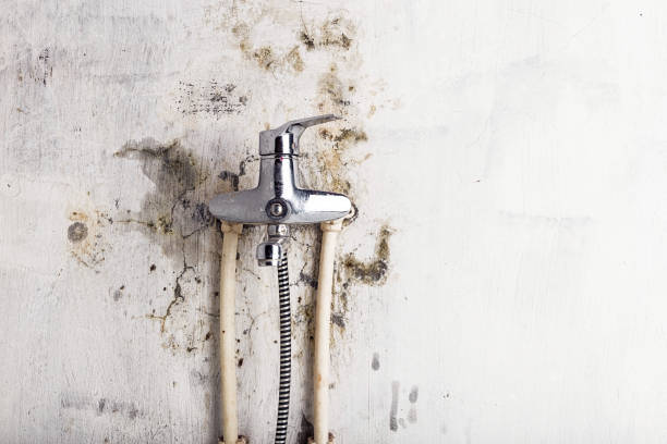 Best Water Damage Restoration  in Iron Mountain, MI