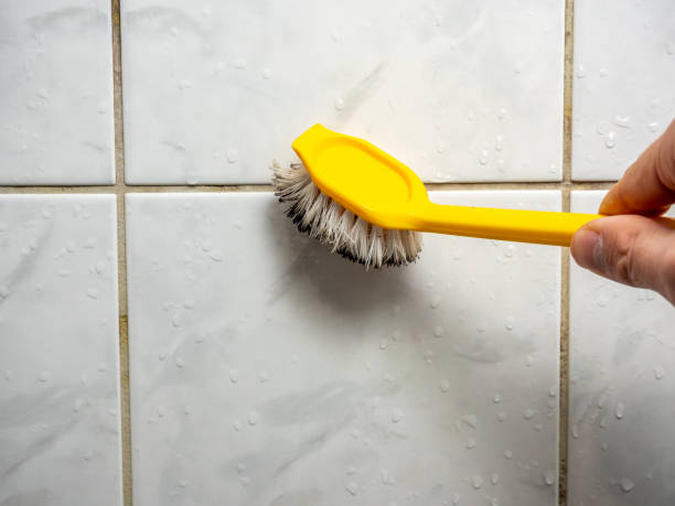 Best Local Mold Removal Service  in Iron Mountain, MI