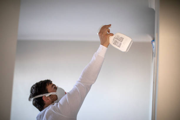 Best Fast Mold Removal  in Iron Mountain, MI