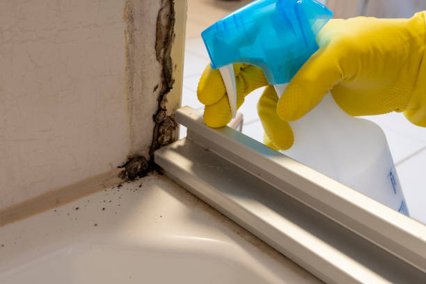 Best Mold Testing  in Iron Mountain, MI